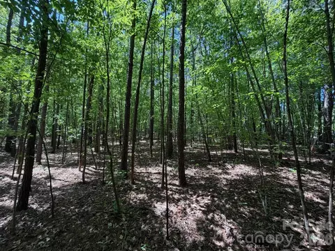 7 Ac Terry Drive Hwy, Union, SC 29379 photo 25
