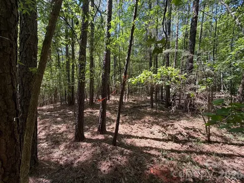 7 Ac Terry Drive Hwy, Union, SC 29379 photo 6