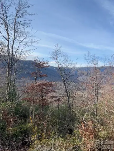 Wilderness Drive, Marion, NC 28752