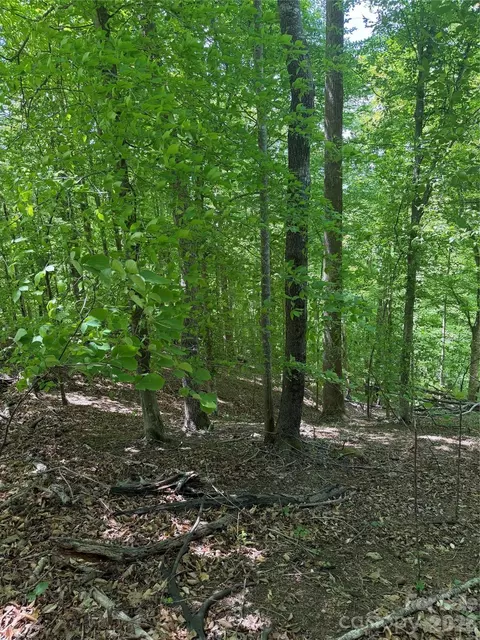 0 Creekside 135 Cir #135, Rutherfordton, NC 28139