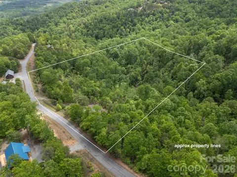 View/Area - 202 Fall Creek Dr, Bostic, NC 28018 photo 3 of 7