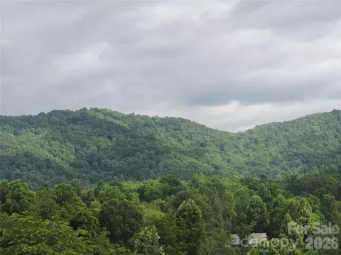 60 Gins Lot 11 Ln #LOT 11, Mars Hill, NC 28754