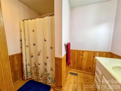 Bath - 175 Cougar Ln, Whittier, NC 28789 photo 3 of 4