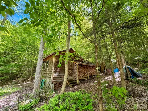 Exterior - 175 Cougar Ln, Whittier, NC 28789 photo 9 of 10