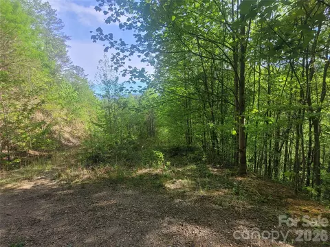 99999 Wolverine 53 Ct #53, Waynesville, NC 28785