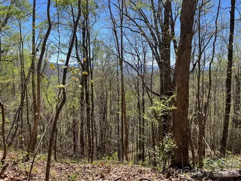 0 Crackin Chestnut Ln, Sylva, NC 28779 photo 4