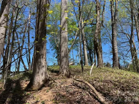 0 Crackin Chestnut Ln, Sylva, NC 28779