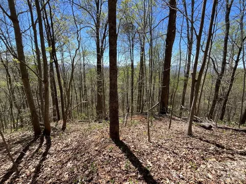 0 Crackin Chestnut Ln, Sylva, NC 28779 photo 6