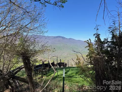 0 Crackin Chestnut Ln, Sylva, NC 28779 photo 3