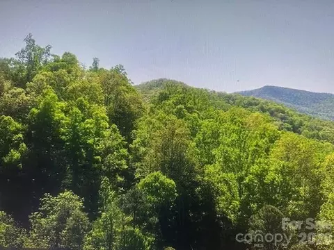 0 Crackin Chestnut Ln, Sylva, NC 28779 photo 9