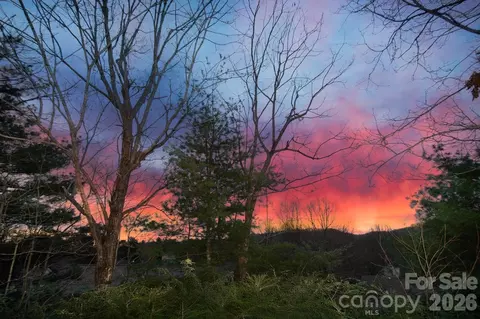 Other - 133 Forest View Dr, Flat Rock, NC 28731 photo 6 of 9
