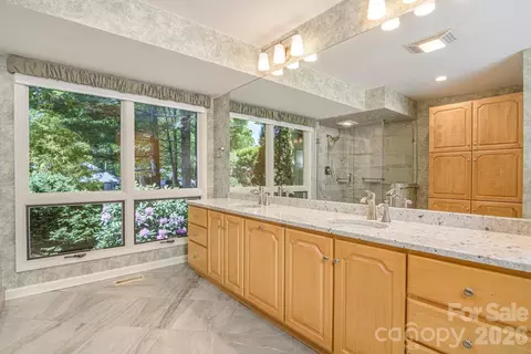 Bath - 133 Forest View Dr, Flat Rock, NC 28731 photo 4 of 6