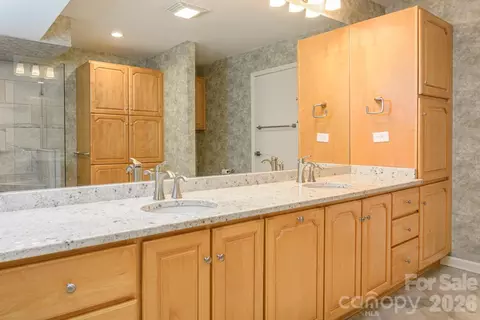 Bath - 133 Forest View Dr, Flat Rock, NC 28731 photo 5 of 6
