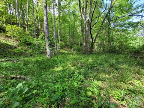 00 Fox Run Rd, Waynesville, NC 28785