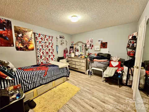 Bedroom - 16318 Sc Hwy 102 Hwy, Patrick, SC 29584 photo 4 of 9