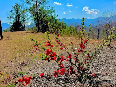 521 Duchess Dr, Sylva, NC 28779 photo 5