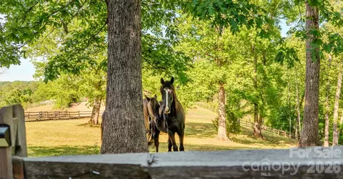 Other - 777 S River Rd, Tryon, NC 28782 photo 3 of 20