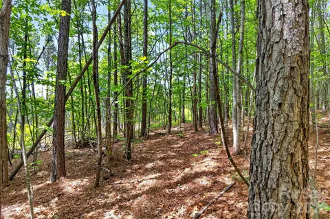 99999 Wright Rd, Marion, NC 28752 photo 14