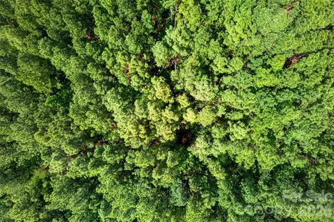 99999 Wright Rd, Marion, NC 28752 photo 17