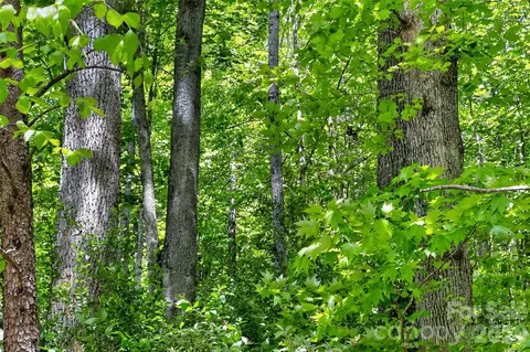 99999 Wright Rd, Marion, NC 28752 photo 11