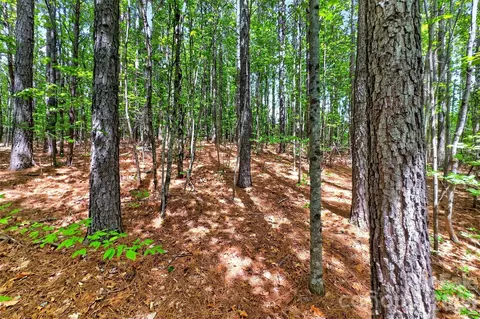 99999 Wright Rd, Marion, NC 28752 photo 15