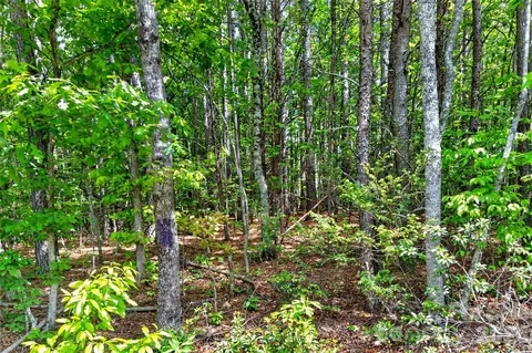 99999 Wright Rd, Marion, NC 28752 photo 7