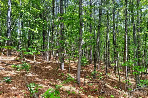 99999 Wright Rd, Marion, NC 28752 photo 12