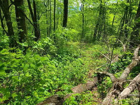 7 Covecrest 7 Dr #7, Maggie Valley, NC 28751
