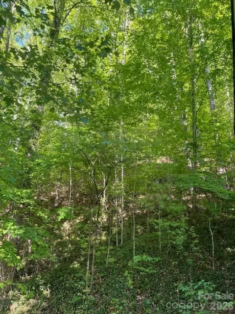 Other - 50 E Wabash Dr, Sylva, NC 28779 photo 3 of 13