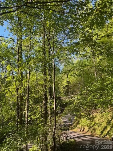 Other - 50 E Wabash Dr, Sylva, NC 28779 photo 11 of 13
