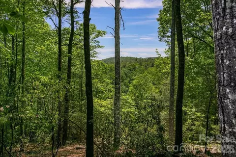 Diamond Creek Road, Lake Toxaway, NC 28747