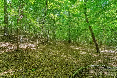 3495 Irish Hills 3 Rd #3, Morganton, NC 28655 photo 22