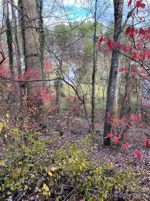 000 Waterford Pl, Brevard, NC 28712