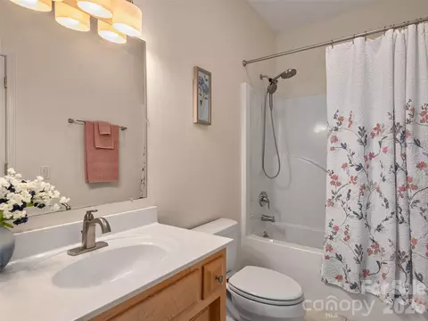 Bath - 232 Wild Haven Way, Mill Spring, NC 28756 photo 3 of 3