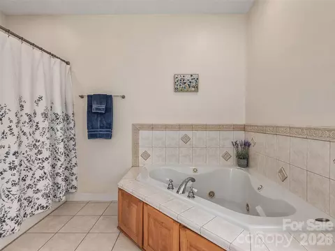 Bath - 232 Wild Haven Way, Mill Spring, NC 28756 photo 2 of 3