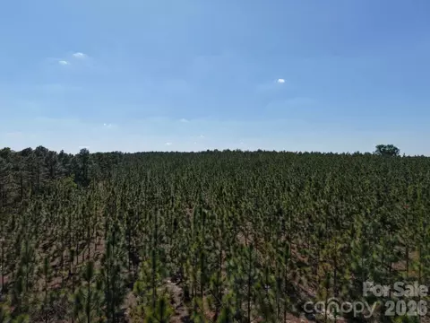 0000 Mt Olivet Church Rd, Patrick, SC 29584 photo 15