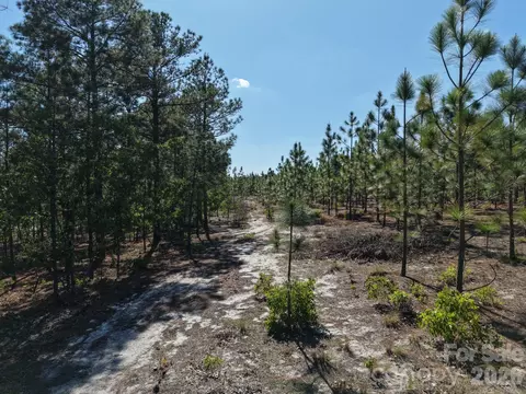 0000 Mt Olivet Church Rd, Patrick, SC 29584 photo 4