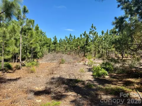 0000 Mt Olivet Church Rd, Patrick, SC 29584 photo 13