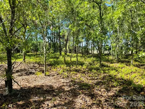 0000 Mt Olivet Church Rd, Patrick, SC 29584 photo 11