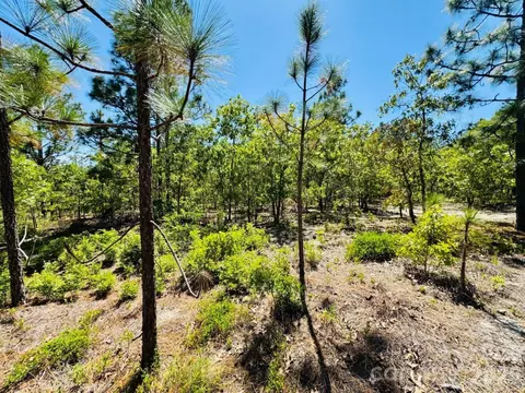 0000 Mt Olivet Church Rd, Patrick, SC 29584 photo 7