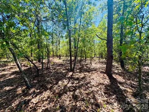 0000 Mt Olivet Church Rd, Patrick, SC 29584 photo 10