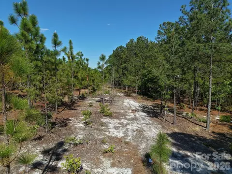 0000 Mt Olivet Church Rd, Patrick, SC 29584 photo 5