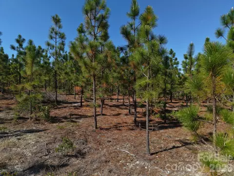0000 Mt Olivet Church Rd, Patrick, SC 29584 photo 3