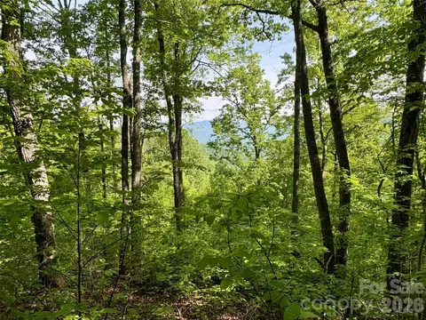 0 Carpenter Rd, Bryson City, NC 28713