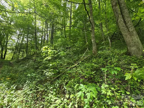 99999 Roaring Fork Rd, Mars Hill, NC 28754 photo 18