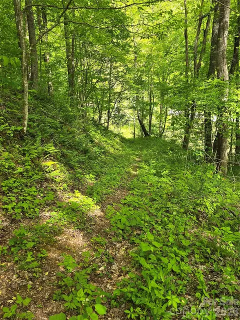 99999 Roaring Fork Rd, Mars Hill, NC 28754 photo 16