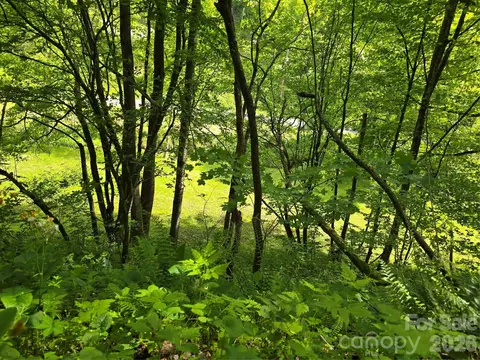 99999 Roaring Fork Rd, Mars Hill, NC 28754 photo 15