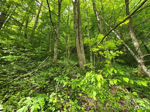 99999 Roaring Fork Rd, Mars Hill, NC 28754 photo 17