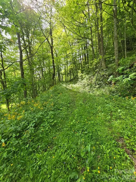 99999 Roaring Fork Rd, Mars Hill, NC 28754 photo 14