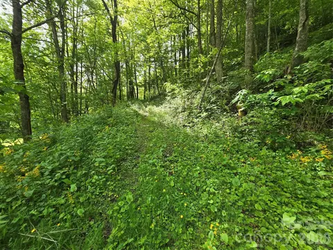 99999 Roaring Fork Rd, Mars Hill, NC 28754 photo 13